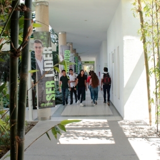 Canchas, exteriores y pasillos